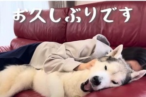 登録者45万人超の愛犬家YouTuberチャンネル、約7年半の活動を終了へ　その理由に「飼い主の鑑」と称賛の声