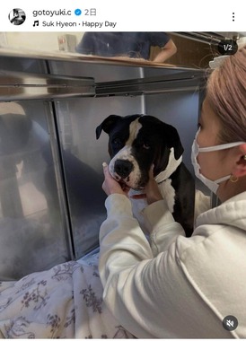 後藤祐樹氏のインスタグラム（＠gotoyuki.c）より