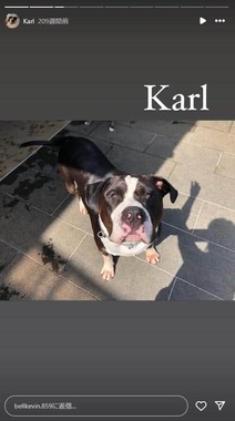 後藤祐樹氏のインスタグラム（＠bellkevin.859）より