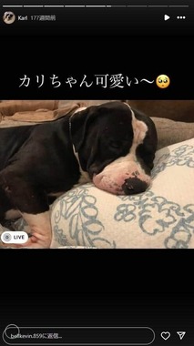 後藤祐樹氏のインスタグラム（＠bellkevin.859）より