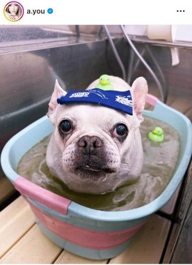 浜崎あゆみさんのインスタグラム（＠a.you）より