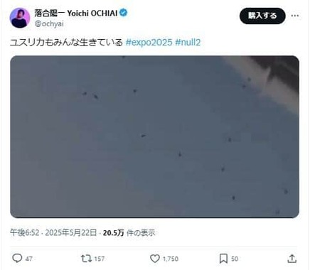 落合陽一氏撮影の動画。大量のユスリカを前に「みんな生きている」とつづった