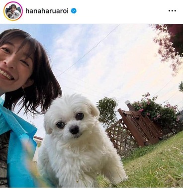小野真弓さんのインスタグラム（＠hanaharuaroi）より