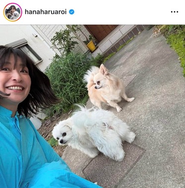 小野真弓さんのインスタグラム（＠hanaharuaroi）より