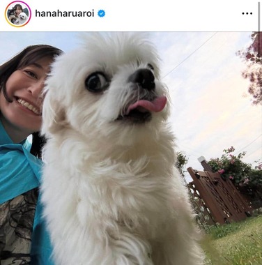 小野真弓さんのインスタグラム（＠hanaharuaroi）より