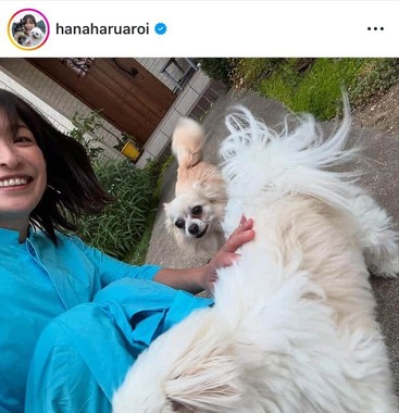 小野真弓さんのインスタグラム（＠hanaharuaroi）より