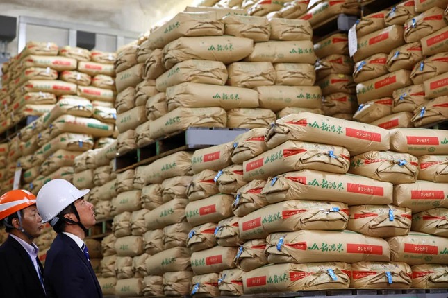 小泉進次郎農水相も倉庫を視察。備蓄米はどのように集められたのか（写真：ロイター/アフロ）