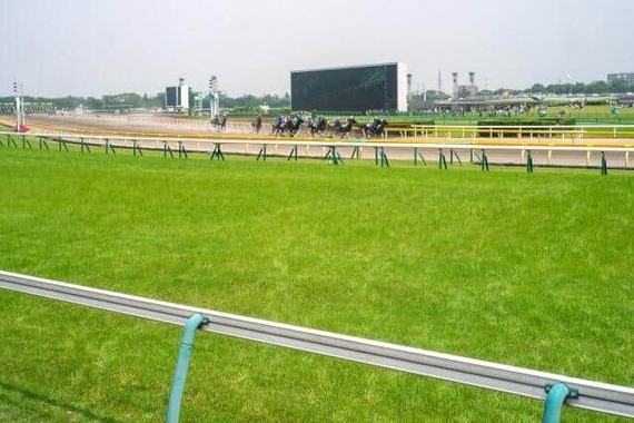 人気YouTuber、競馬でまた大勝ち（写真はイメージ）