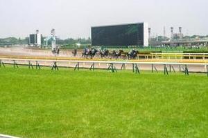 人気YouTuber、競馬でまた大勝ち　日本ダービーで当たった全額→目黒記念にぶっこみ545万円「とにかく来そうな気が」