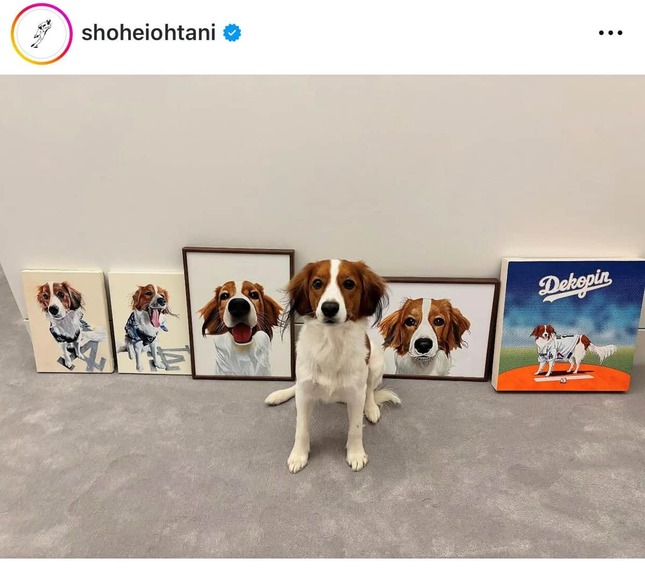 大谷の愛犬デコピン（大谷のインスタグラムより）