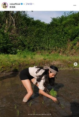 ローサさんがインスタグラムで公開した田植え風景。ツッコミとエールが交錯している