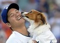 大谷翔平の愛犬デコピン、ブルーのボーダー服姿がカワイイ　上目遣いショットも...「癒されます」