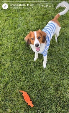 大谷翔平選手のインスタグラム（＠shoheiohtani）より