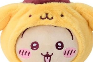 「ちいかわ×サンリオ」グッズで波紋、1号客に「完売」告げる店員？　店員による買い占め疑惑も...販売元は完全否定