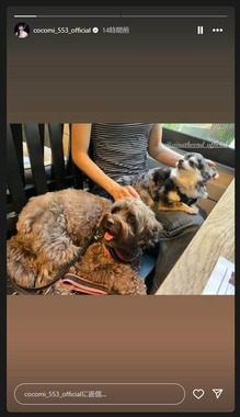 Cocomiさんのインスタグラム（＠cocomi_553_official）より