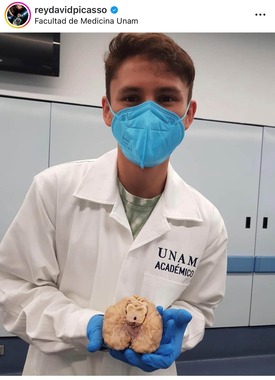 医学を学ぶピカソ（本人インスタグラムより）