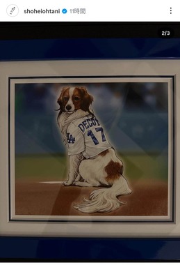 大谷翔平の愛犬デコピン、なんと「遊戯王カード」に！ 始球式の