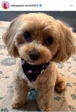 中川安奈さんのインスタグラム（＠nakagawa.anna1022）より