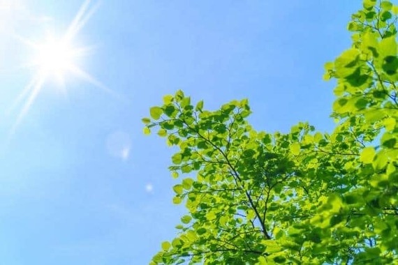 6月から猛暑日など、異常な天気が続いている