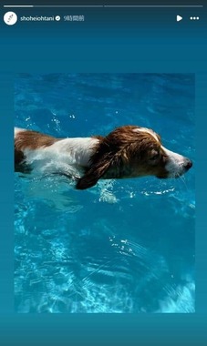 大谷翔平選手のインスタグラム（＠shoheiohtani）より