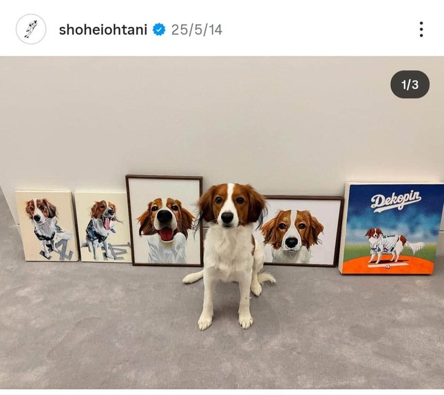 大谷翔平選手のインスタグラム（＠shoheiohtani）より