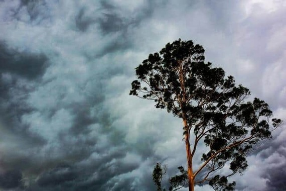 これまでの台風の常識が通用しなくなった？（画像はイメージ）