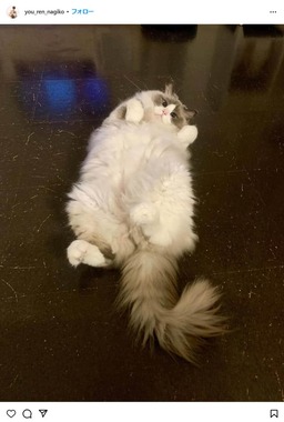 遠野なぎこさんのインスタグラム（＠you_ren_nagiko）より