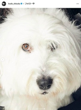 工藤静香さんのインスタグラム（＠kudo_shizuka）より