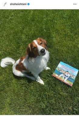 大谷の愛犬デコピン（大谷のインスタグラムより）