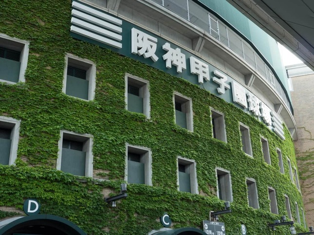 高野連の対応には批判の声があがっている