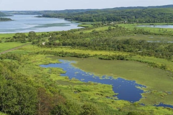 釧路湿原
