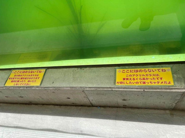 「竹島水族館」カピバラエリアの張り紙、写真提供：Xユーザー「＠yukarinhocha」さん