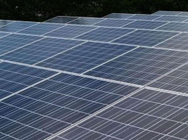 写真はイメージ