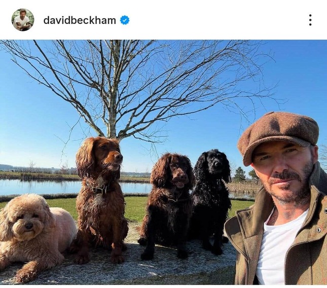 デビッド・ベッカムさんのインスタグラム（＠davidbeckham）より