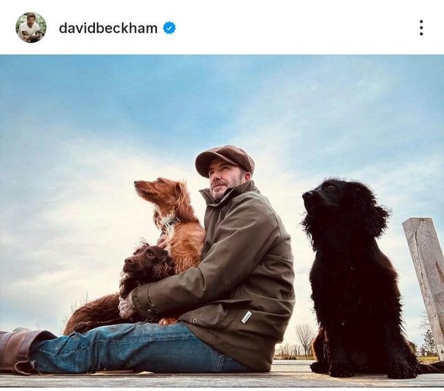 デビッド・ベッカムさんのインスタグラム（＠davidbeckham）より