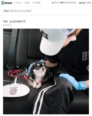 小柳ルミ子さんが2025年9月8日に公開したブログエントリーより