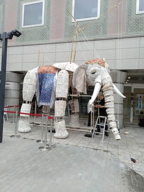 象の「白糸恩（はくしょん）」。せせらぎさんのX（＠sheepstilts）より