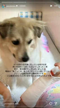 ぺこさんのインスタグラムより（＠pecotecooo）