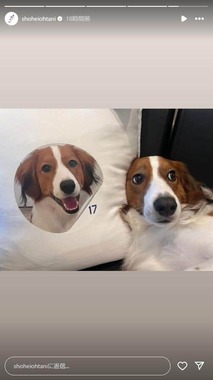 大谷翔平選手のインスタグラム（＠shoheiohtani）より