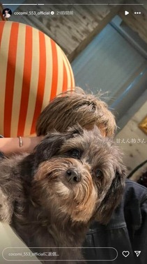 Cocomiさんのインスタグラム（＠cocomi_553_official）より