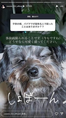 Cocomiさんのインスタグラム（＠cocomi_553_official）より