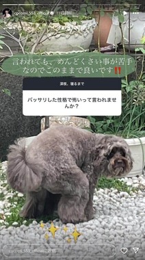 Cocomiさんのインスタグラム（＠cocomi_553_official）より