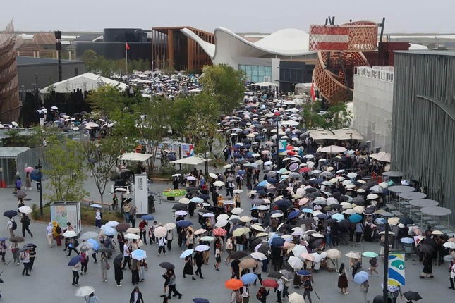 万博会場には大輪の「傘の花」