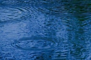 祖父母の家の蛇口を勝手に使う観光客トラブル　「私有地」立札が守った静かな暮らし