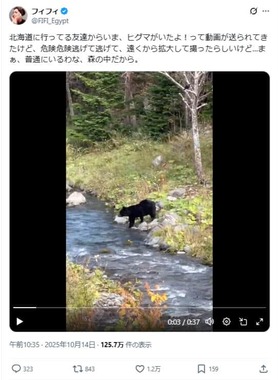 フィフィさんのX（＠FIFI_Egypt）より