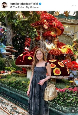 武田久美子さんのインスタグラム（＠kumikotakedaofficial）より