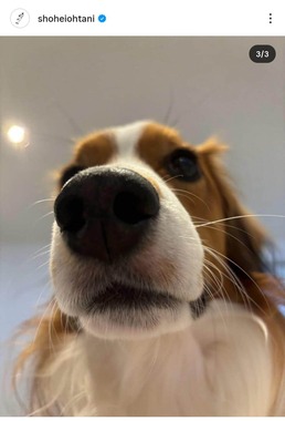 大谷翔平選手のインスタグラム（＠shoheiohtani）より