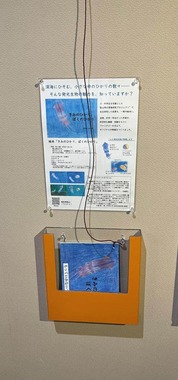 紛失を経て…紐をつけて管理している絵本。写真提供：青森県営 浅虫水族館