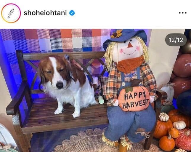 大谷翔平選手のインスタグラム（＠shoheiohtani）より