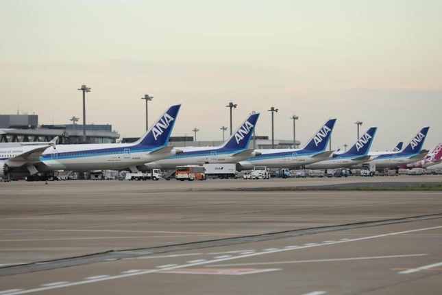 写真は羽田空港に駐機するANA機